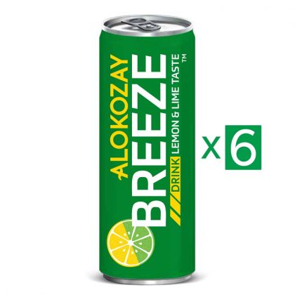 بريز ريجولار 250 مل × 6 / Breeze Drink 250Ml X Pack Of 6