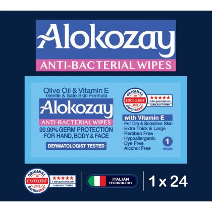 Anti-Bacterial Wipes - A Box Of 24 Single Sachets