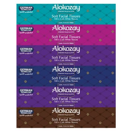 Soft Facial Tissues 100 Sheets X 2 Ply - Pack Of 6 Boxes