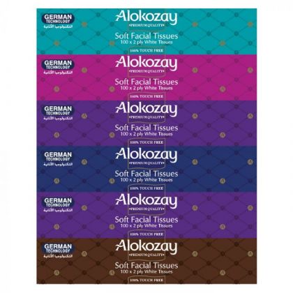 Soft Facial Tissues 100X2 Ply - Pack Of 6