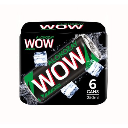 واو ريجولر 250 مل × 6 / Wow Regular 250Ml X Pack Of 6